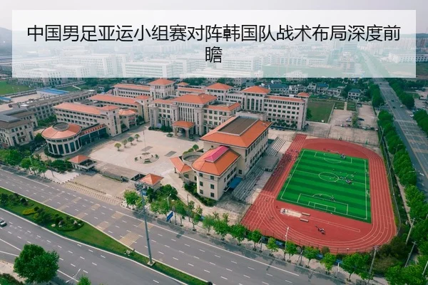 中国男足亚运小组赛对阵韩国队战术布局深度前瞻 | BwinAsia