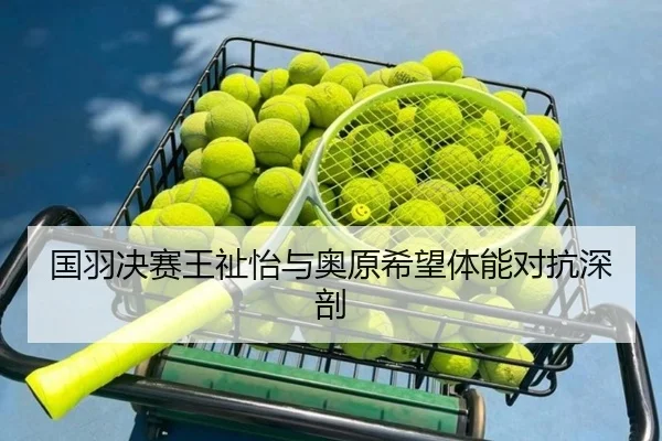国羽决赛王祉怡与奥原希望体能对抗深剖 | BwinAsia